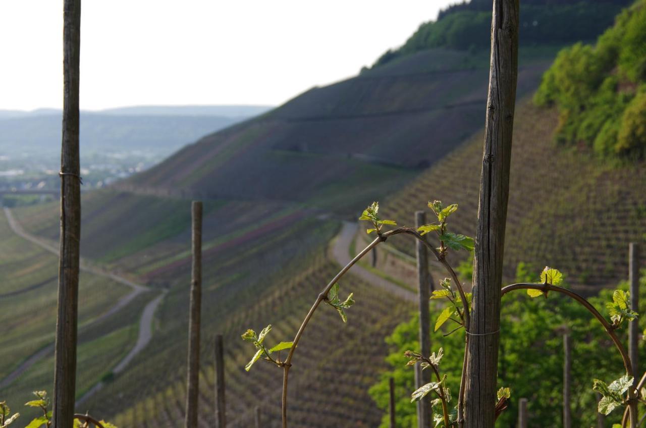Weingut Weich Hotel Riol Exterior photo