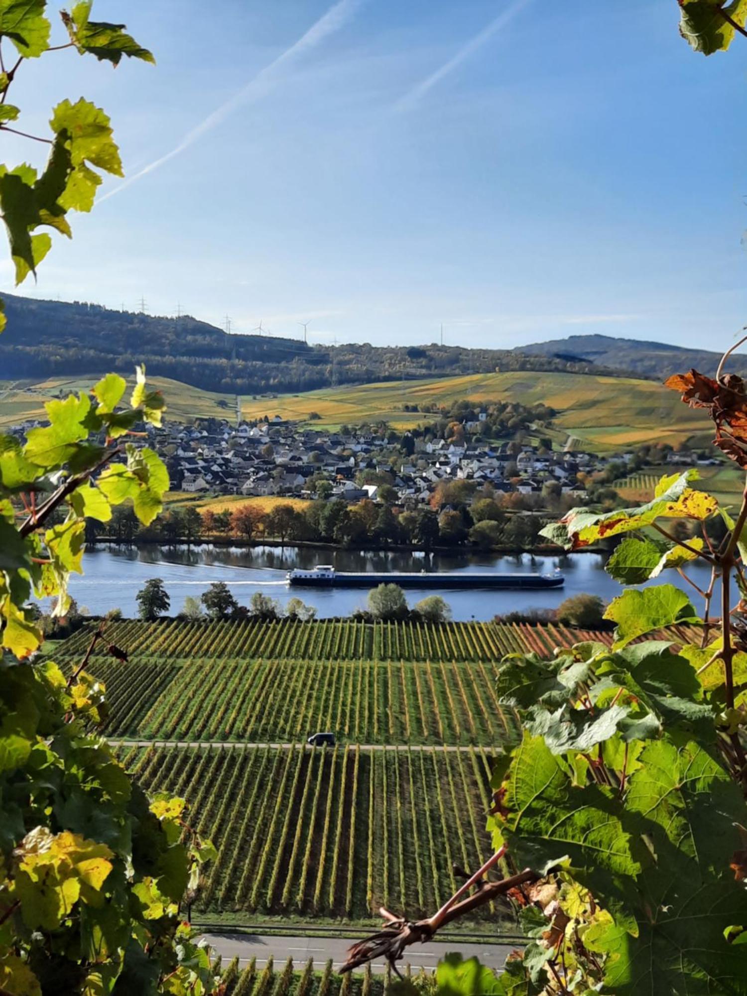 Weingut Weich Hotel Riol Exterior photo